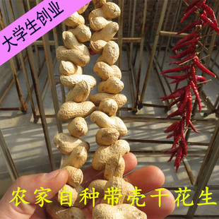 天然干花生串 真实花生串 农家乐饭店酒店农家院乡村装饰品道具