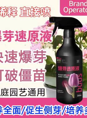 爆芽速原液多芽促芽催芽分化叶插花植物多肉绿植通用型爆芽素