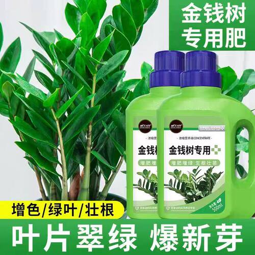 金钱树专用营养液花肥料家用盆栽绿植防黄叶催绿长效营养肥液体肥
