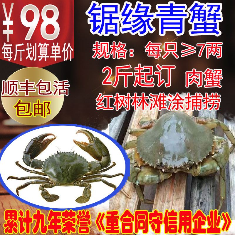 鲜活红膏蟹 大青蟹 醉螃蟹 大酱肉蟹 泥蟹野生 每只7两以上