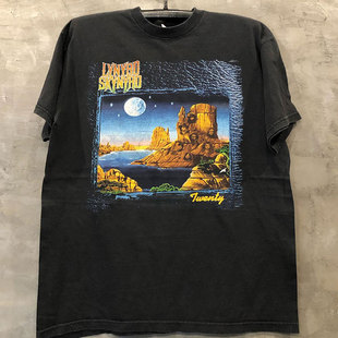 Lynyrd Skynyrd摇滚乐队宽松高街风短袖T恤vintage古着重磅棉T恤