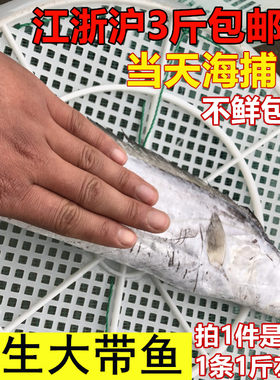 新鲜带鱼海鲜水产野生海鱼秋刀鱼小眼带鱼刀鱼鲜活速冻大带鱼包邮