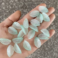 20 кусочков водной мозы