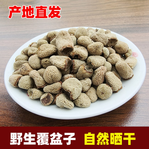 覆盆子广西甜茶干果悬钩子中药材