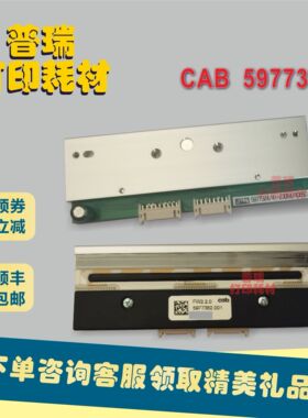 CAB 5977382打印头，德国CAB/凯博，Squix 4.3 200dpi