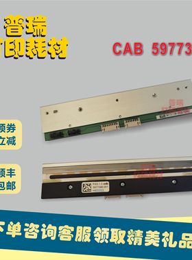 CAB 5977386 打印头，Squix 6.3 200dpi