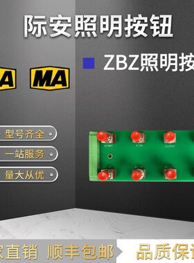 山西际安ZBZ/ZJZ照明综保开关门板按钮总成ZBZ-SW-Ver1