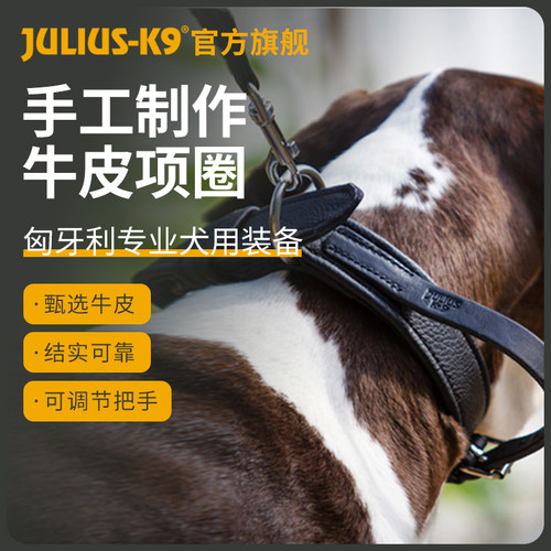 金金萨摩耶哈士奇边牧犬用