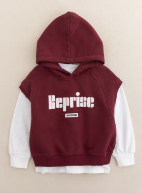 儿童套装2024秋装新款男童春秋连帽马甲+卫衣两件套BQ242