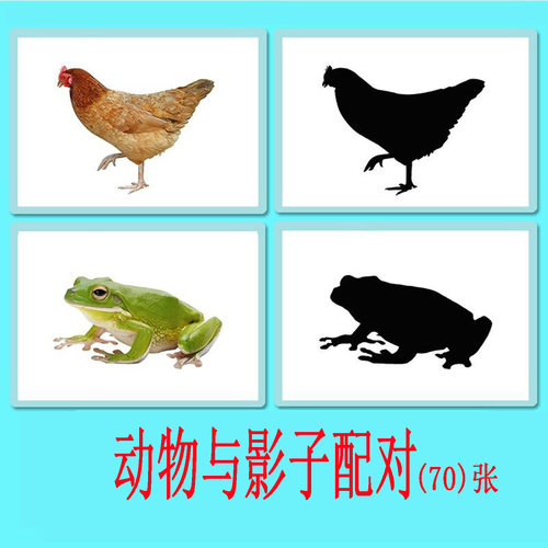 动物轮廓影子配对ABA教具认知卡自闭症儿童语言发育迟缓训练教材