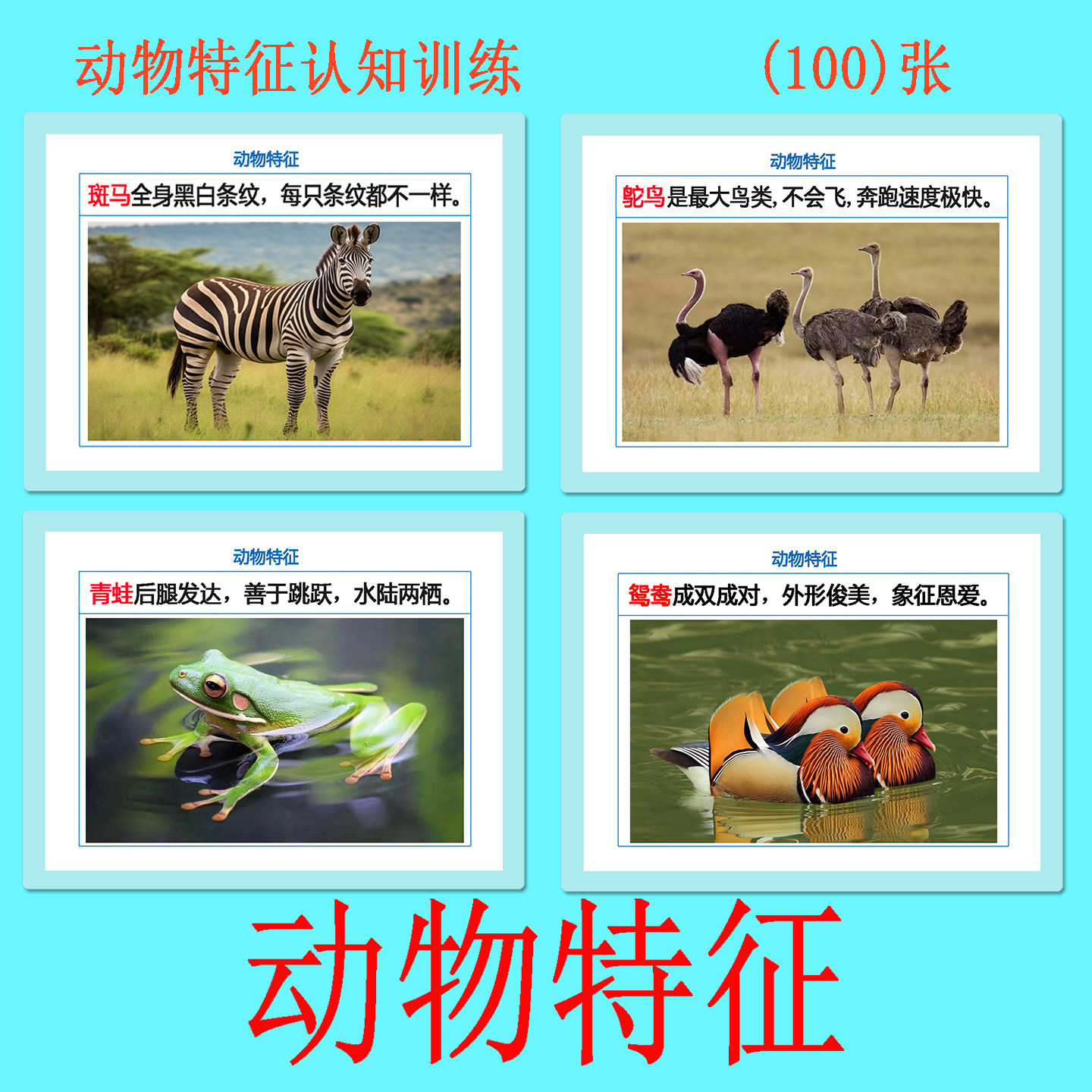 动物特征儿童早教认知卡益智教具
