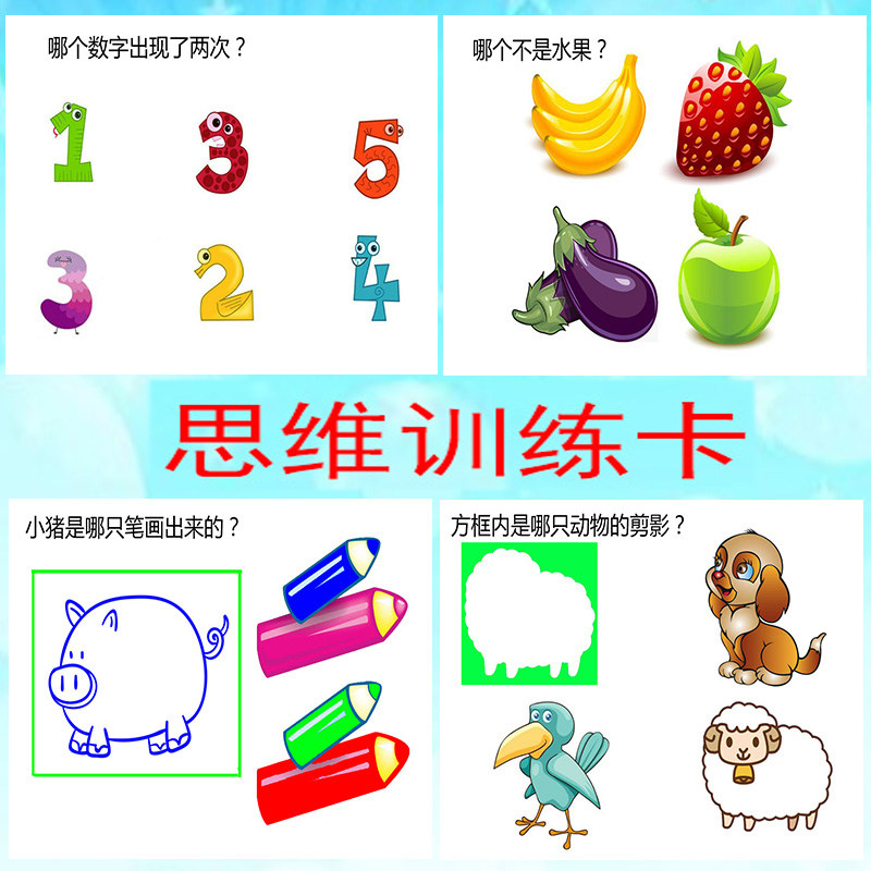 幼儿学习提升 逻辑思维训练卡观察理解宝宝特殊儿童康复卡片教具