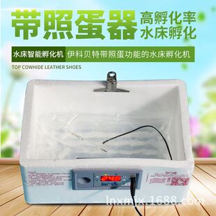 仿生水床孵化机家用型20枚孵化器小型自动控温孵蛋器