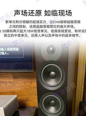 Dynaudio/丹拿 Emit M50木质落地式家庭影院音响