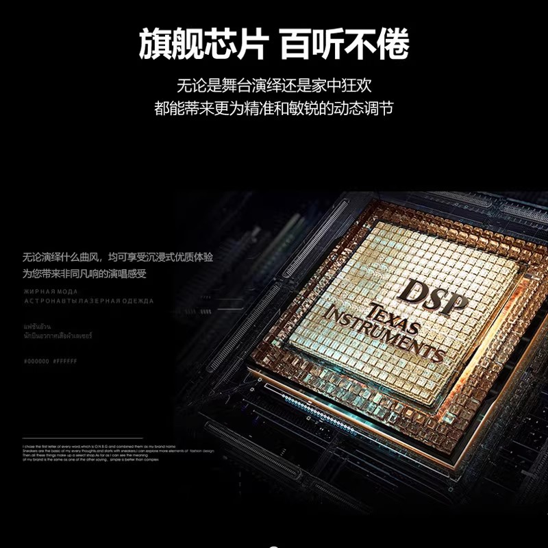 JBL VM200 VM300 一拖二无线麦克风家用KTV会议演讲舞台演出话筒