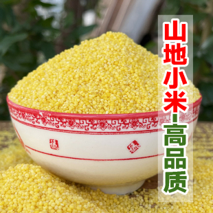 小米 沂蒙山食用黄小米新米农家自种五谷杂粮粗粮宝宝儿童小孩吃