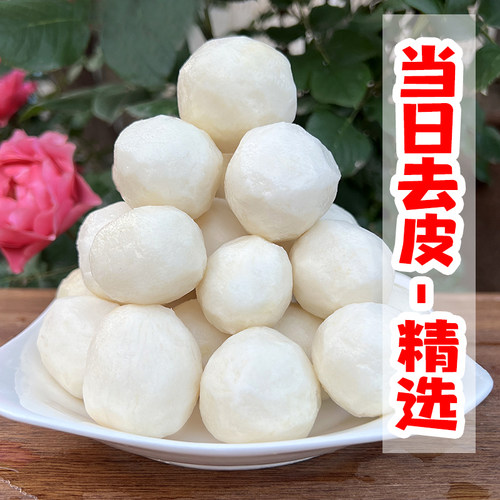 新鲜现挖去皮牛奶芋头软糯芋艿