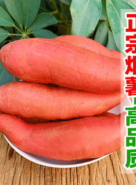 2025年当季现挖正宗山东烟薯25号蜜薯新鲜地瓜糖心流油农家烤红薯