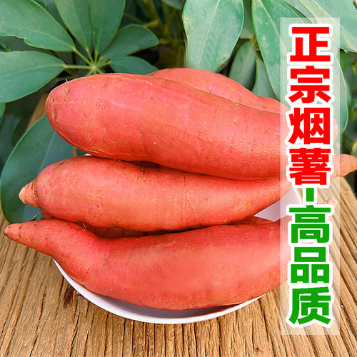 2026年当季正宗山东烟薯25号蜜薯