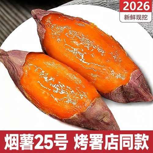 2026年当季正宗山东烟薯25号蜜薯