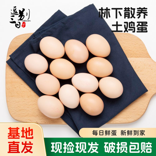 农家散养谷物喂养土鸡蛋笨鸡蛋