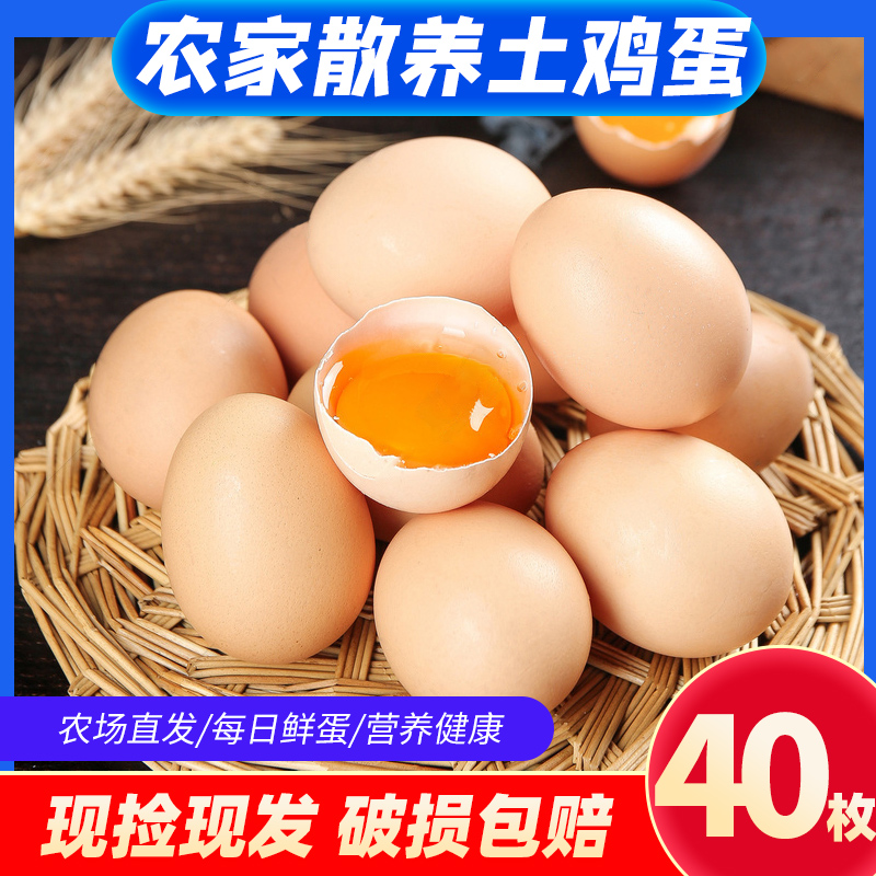 林下散养土鸡蛋40枚*45g鸡蛋新鲜笨鸡蛋林下散养初生蛋整箱包邮