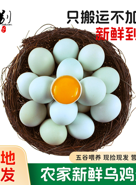 逗别三日绿壳农家散养乌鸡蛋40枚新鲜正宗土柴鸡蛋谷物月子蛋10枚