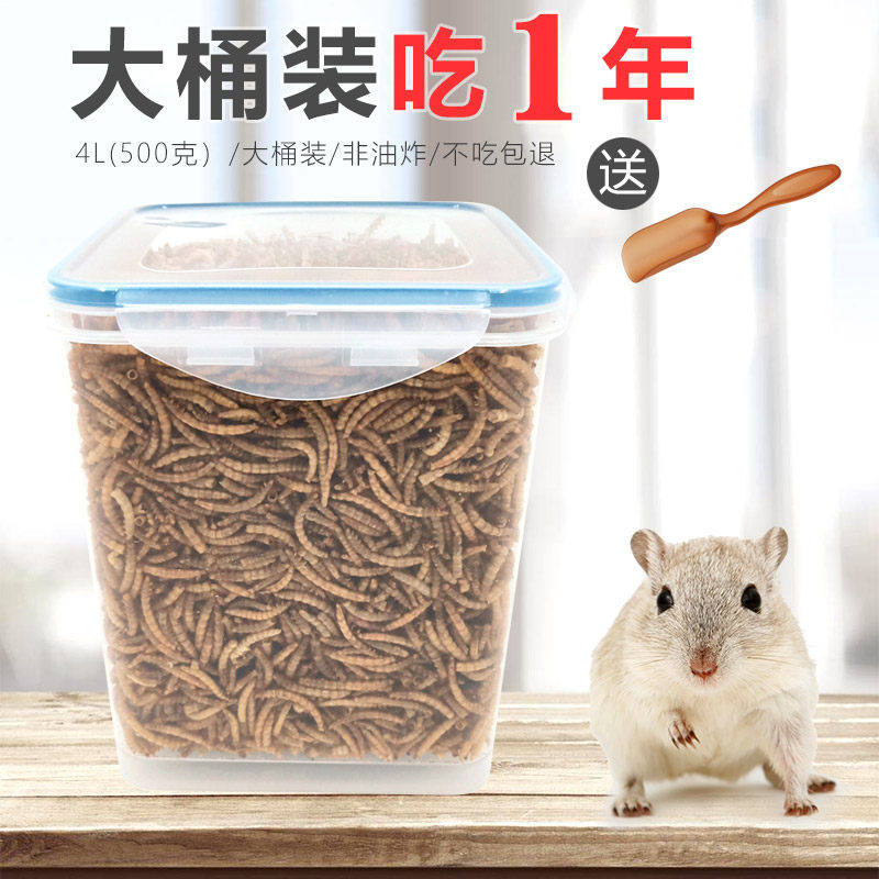 仓鼠粮食零食面包虫干黄粉虫干鹦鹉鸟龟芦丁鸡饲料龟粮鸟主粮一斤属于什么档次？