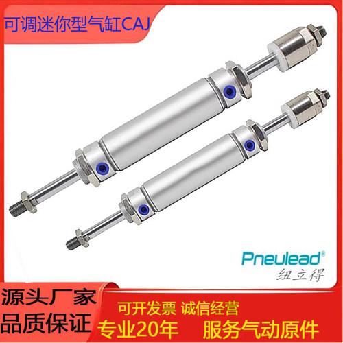 Pneulea可调迷你型气缸CAJ20
