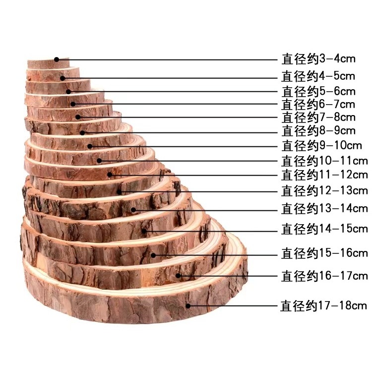 圆木片手工材料幼儿园手绘画原木片圆形木片装饰年轮片小木块图片