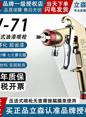 立森压送式W-71/W-101喷枪油泵油漆喷枪W-77喷漆枪隔膜泵专用喷枪