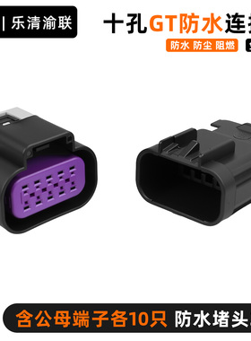 DJ7105D-1.5-11/21十孔大灯雾灯插头15326846/15326843连接器插头