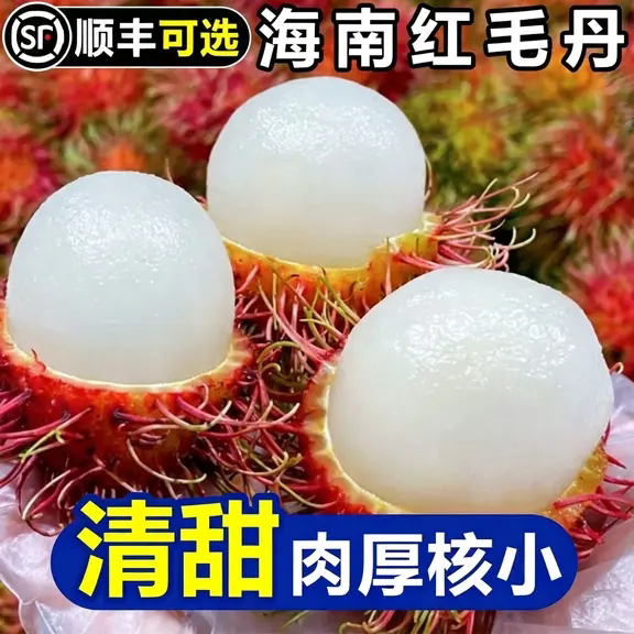【顺丰可选】海南红毛丹水果新鲜毛荔枝新鲜当季热带水果带箱包邮