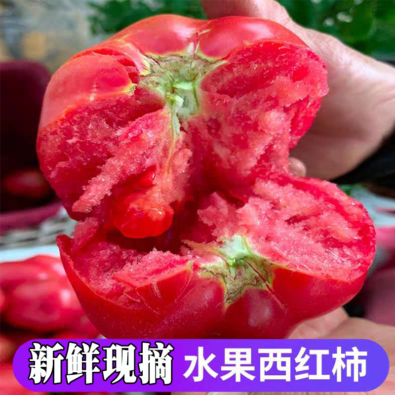 新鲜西红柿5斤水果西红柿蔬菜自然熟沙瓤整箱包邮农家现摘大番茄