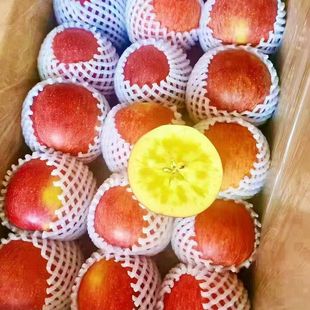 四川甘孜泸定康定黄草坪高原特产正宗糖心苹果精品中大果送礼佳品