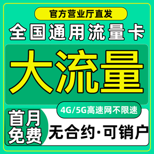 流量卡纯流量上网卡手机卡电话卡5g大流量卡无线限流量卡全国通用