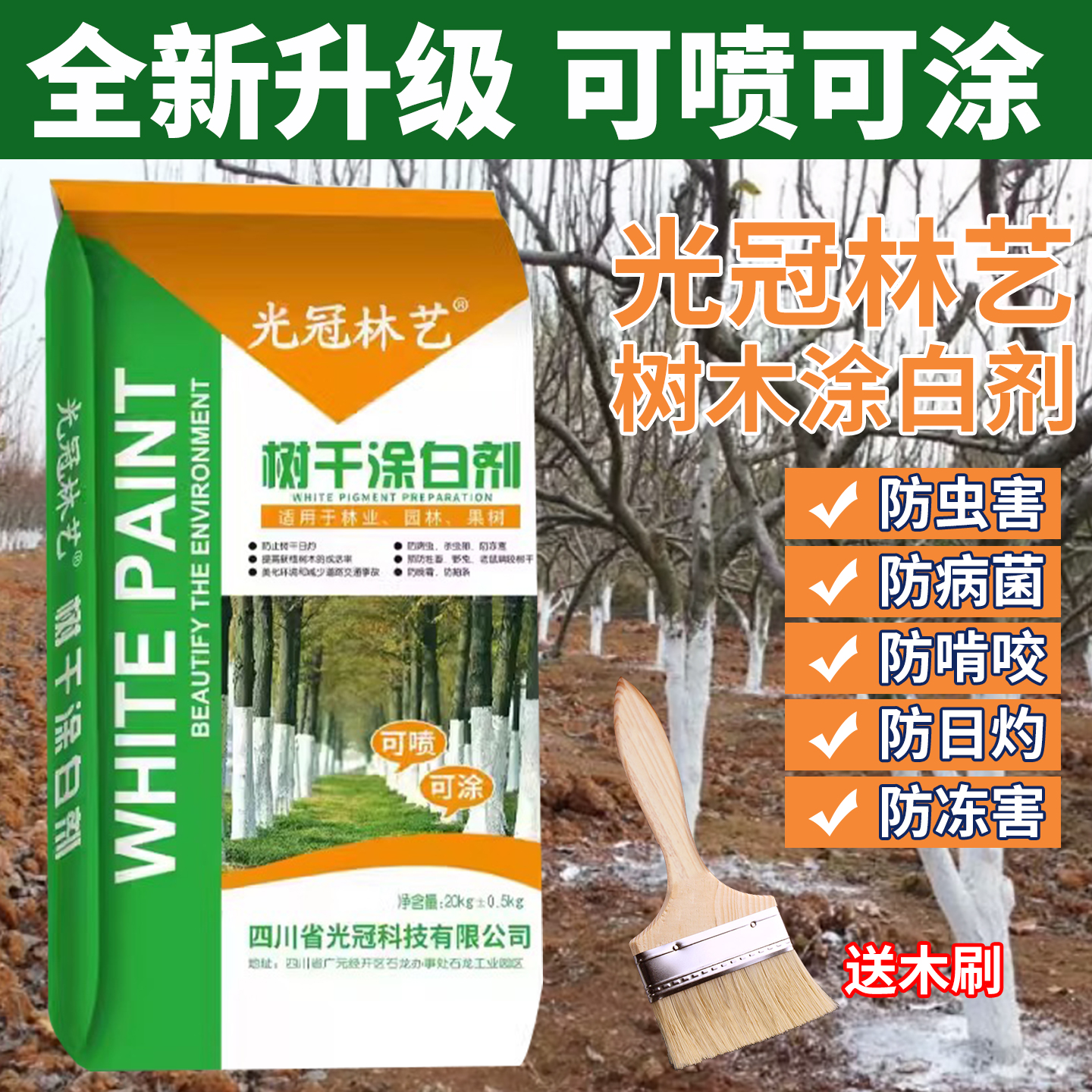 光冠大树刷粉树干涂白树木防腐