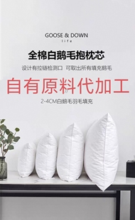 鹅毛羽绒抱枕芯羽毛抱枕枕芯睡枕靠垫坐垫一体