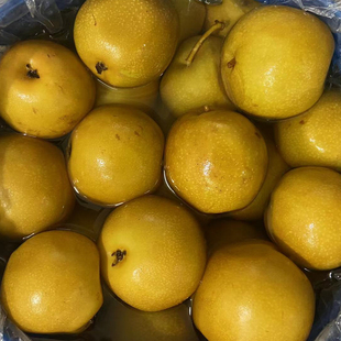 广西酸嘢特产冰糖泡梨酸辣沙梨酸甜新鲜腌制脆甜爽口开胃消食酸果