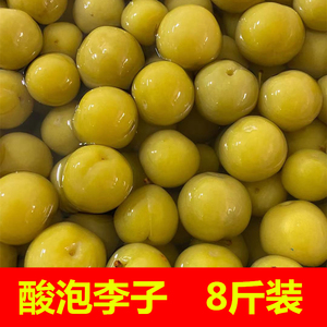 酸李子广西腌制酸料特产