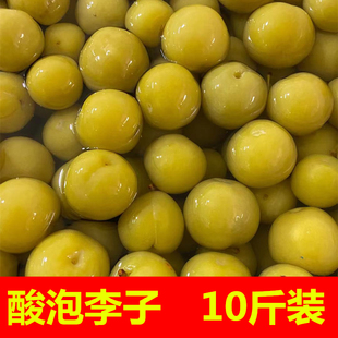 腌制青李子三华李广西特产水果酸甜脆爽孕妇珍珠三华李脆李子爽口