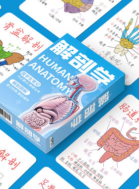 人体结构解刨学收藏卡