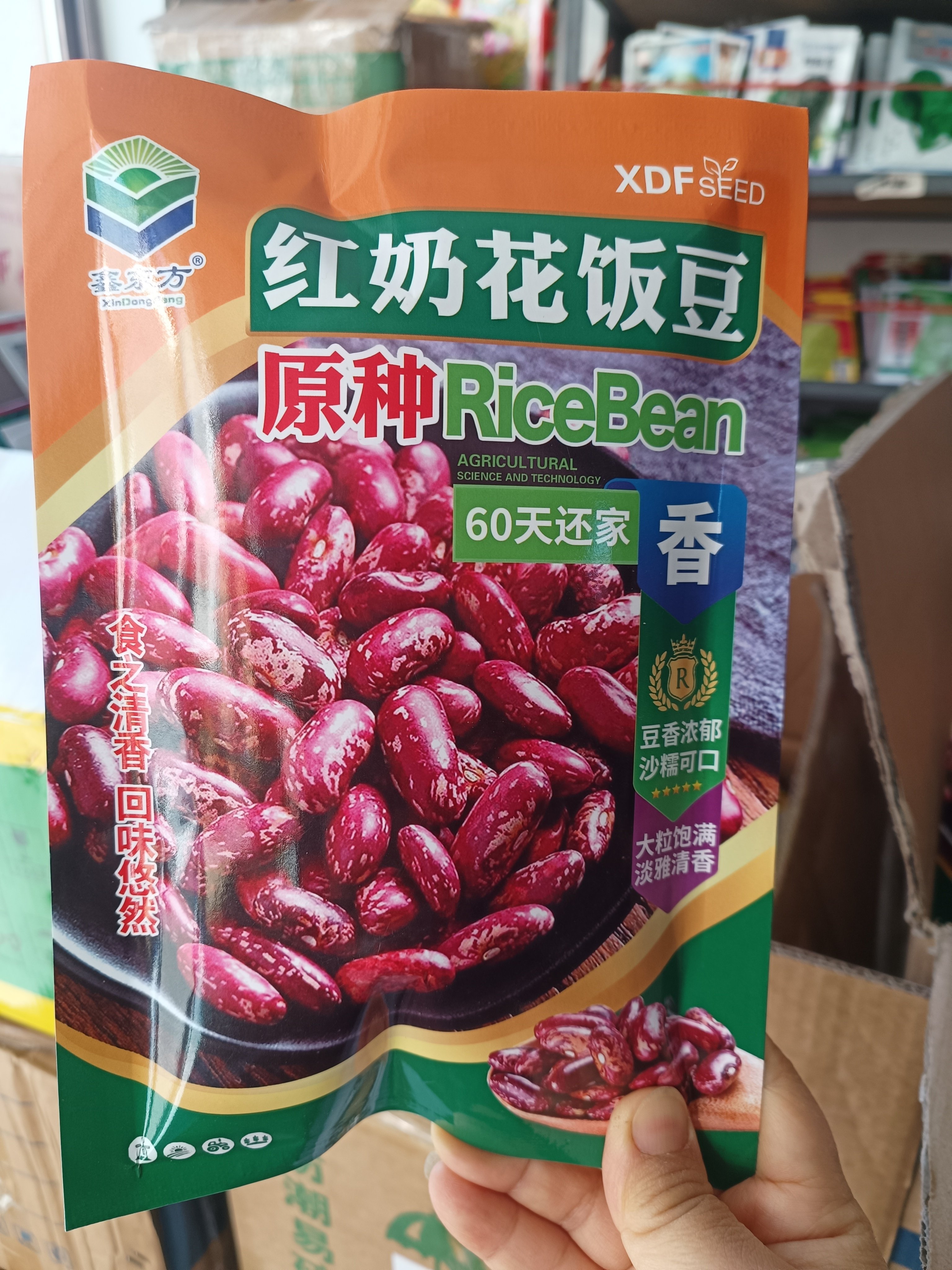 【红奶花饭豆种子】东北不搭架60天花芸豆一代原种红奶花饭豆种子