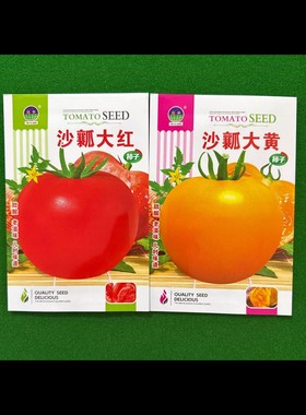 沙瓤大红番茄种子庭院阳台盆栽食用蔬菜种籽瓜果种子大黄西红柿