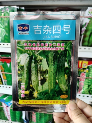 吉丰吉杂四号黄瓜种子  杂交一代绿瓤绿肉清香甜脆