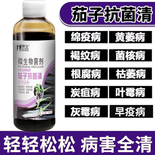 茄子黄萎病专用药茄子霜霉病软腐病灰霉病炭疽病枯萎病茄子病抑制