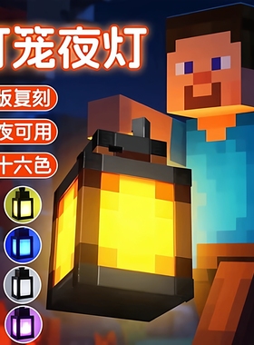 MC我的世界16色遥控灯笼可挂墙火炬矿灯变色瓶氛围灯玩具生日礼物