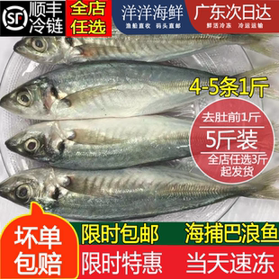 本港巴浪鱼海捕新鲜蓝圆鲹潮汕池鱼海水产冰鲜速冻刺巴鱼3斤起拍