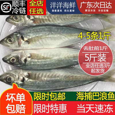 本港巴浪鱼海捕新鲜蓝圆鲹潮汕池鱼海水产冰鲜速冻刺巴鱼3斤起拍