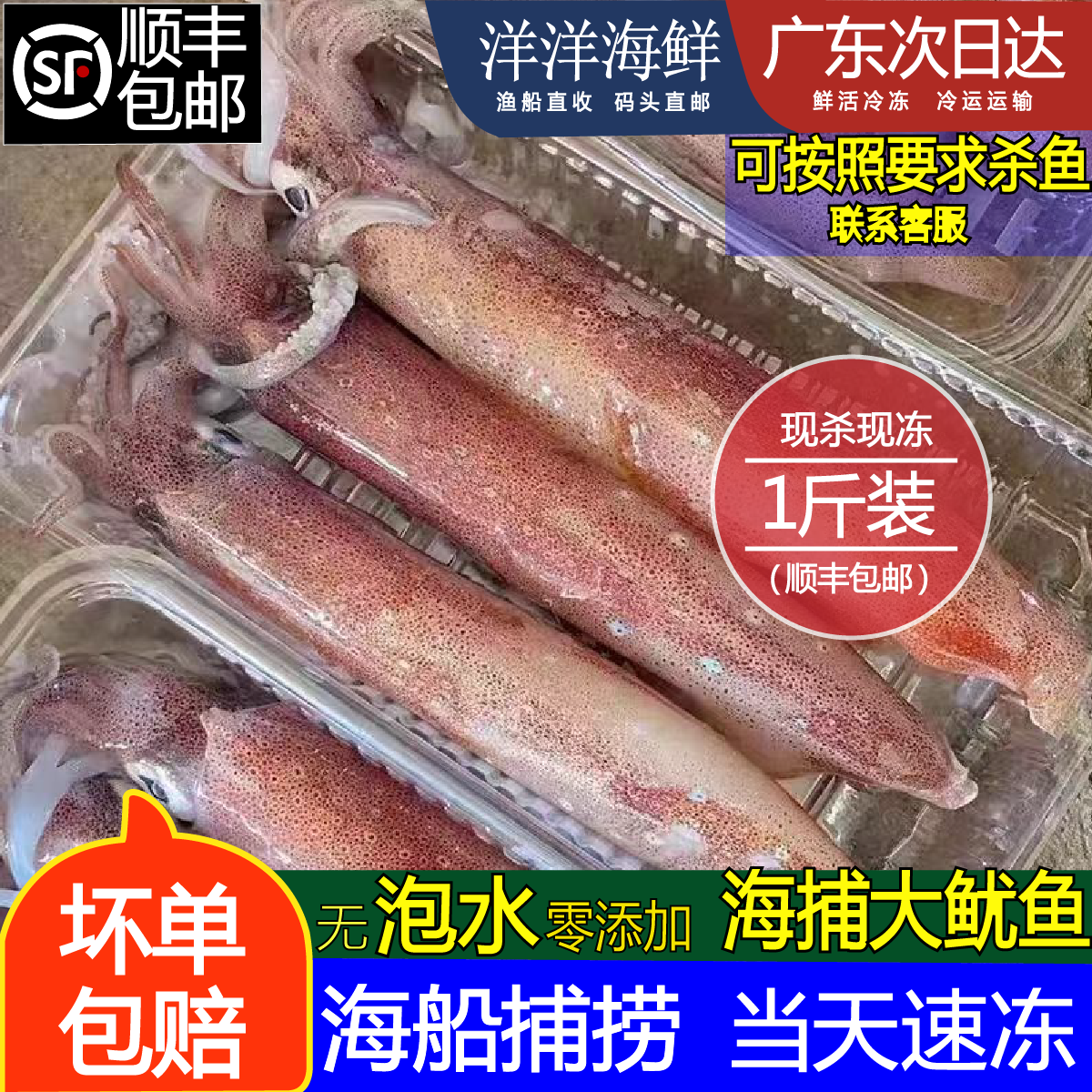 海钓大鱿鱼无泡水鲜活冷冻海鲜小大枪乌贼章鱼海兔子新鲜大笔管鱼